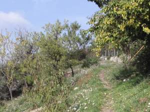 Xtrallusion photo library of independent, self-guided walking and sightseeing holidays in Italy. Pictures, images, photos and photographs taken along the way of this 1-day walking itinerary, to give you a visual impression of the day's walk.